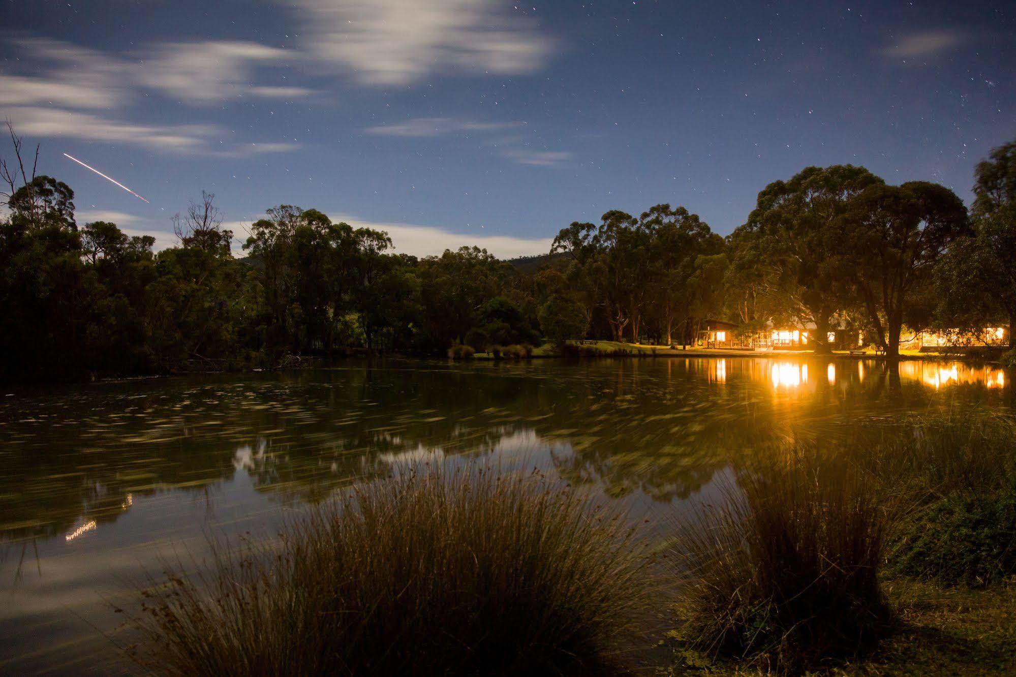 Villa The Burrow At Wombat Bend Dixons Creek Exterior foto