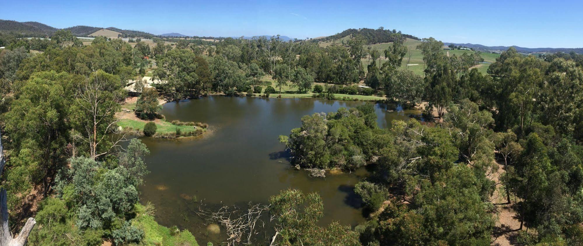 Villa The Burrow At Wombat Bend Dixons Creek Exterior foto
