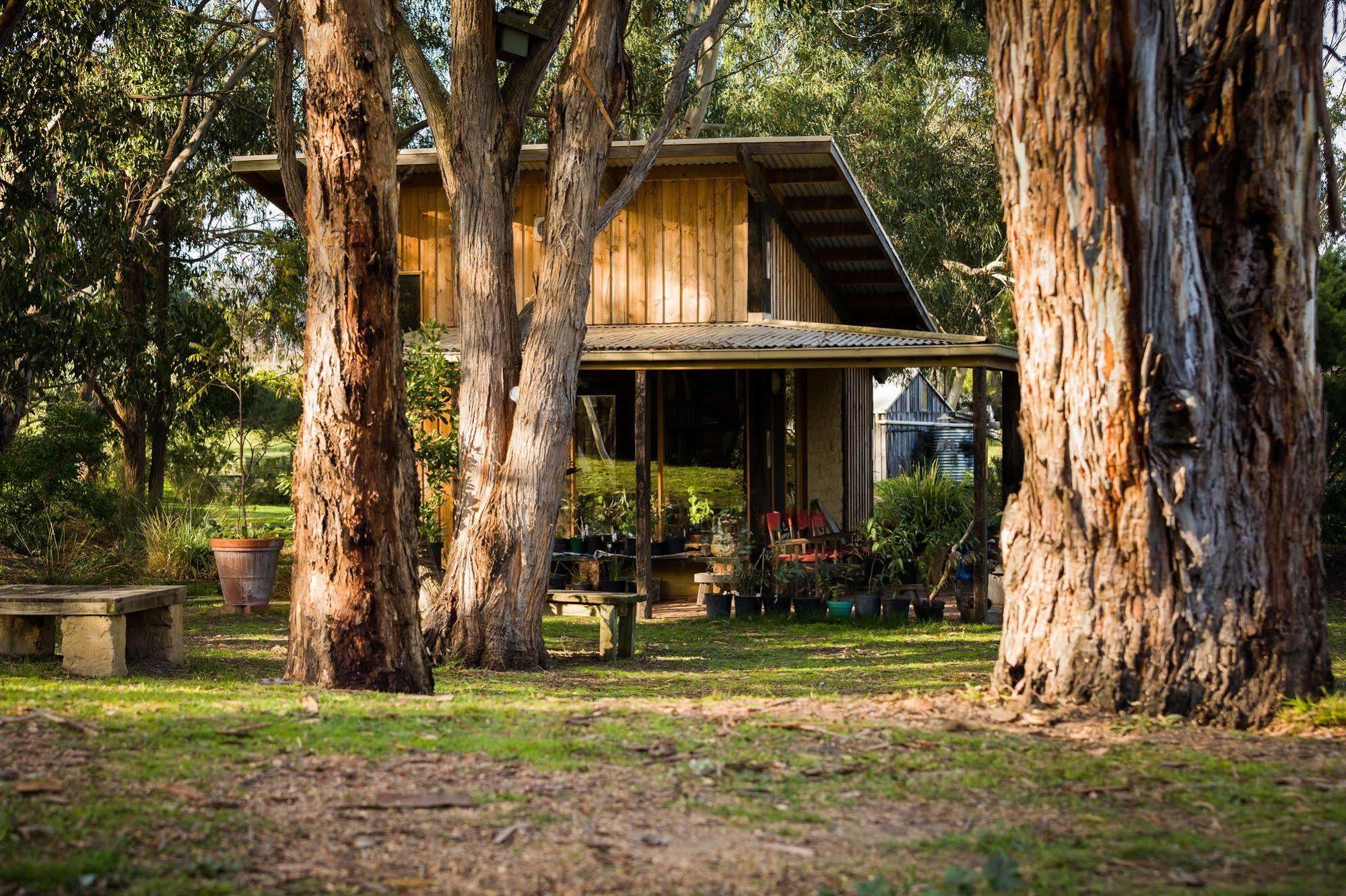 Villa The Burrow At Wombat Bend Dixons Creek Exterior foto