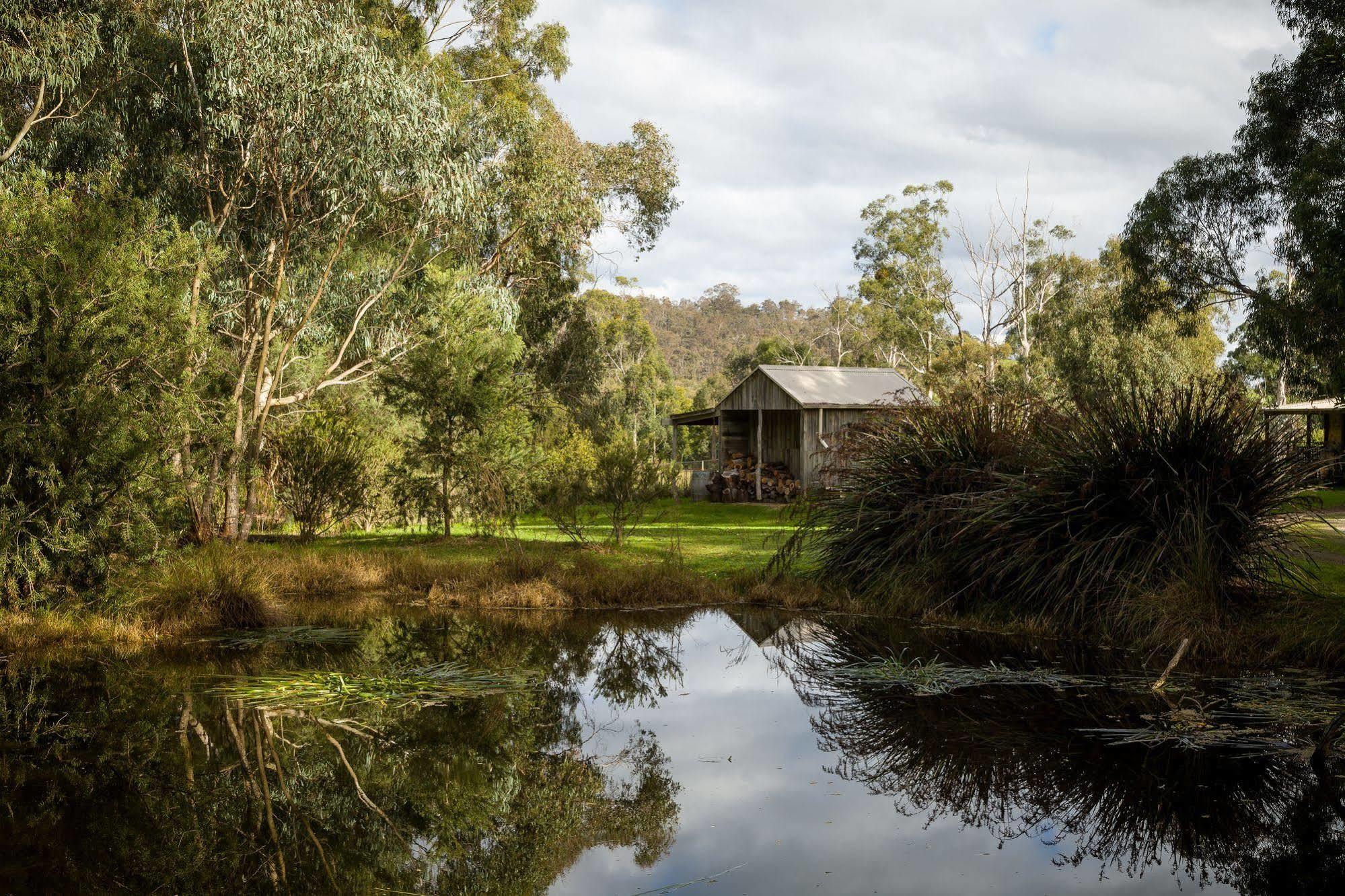 Villa The Burrow At Wombat Bend Dixons Creek Exterior foto