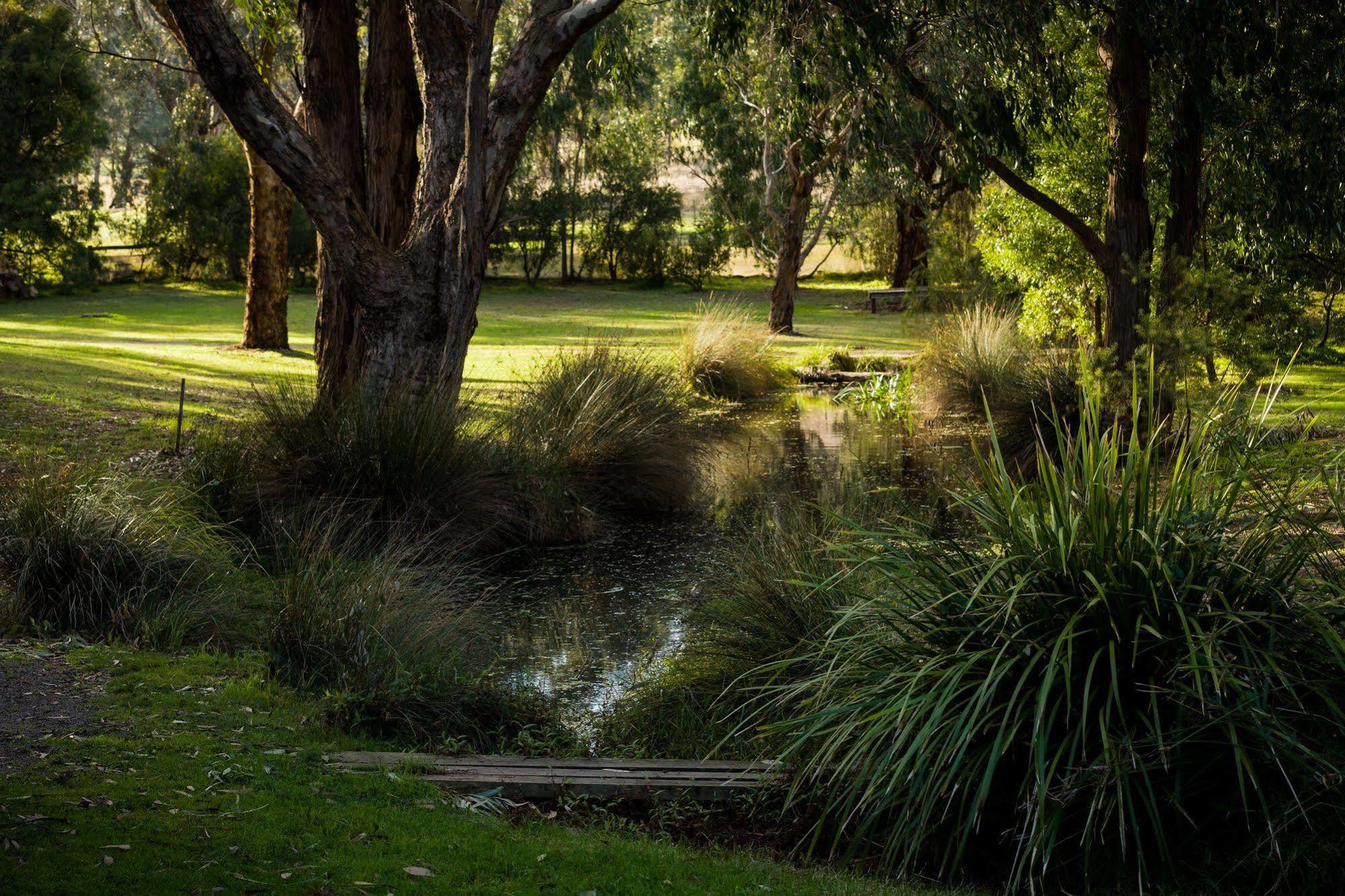 Villa The Burrow At Wombat Bend Dixons Creek Exterior foto