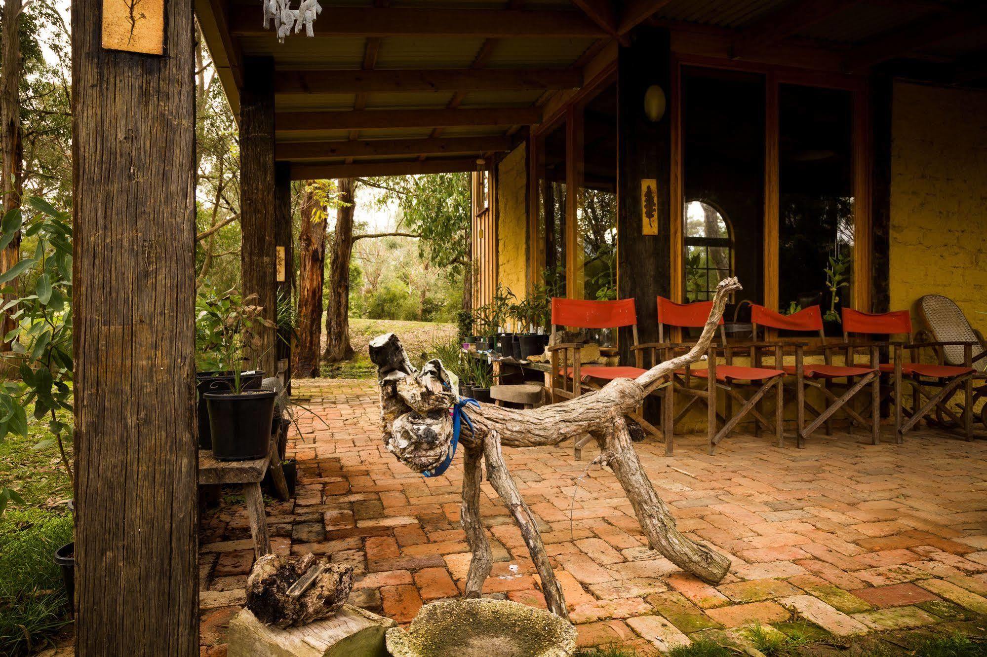 Villa The Burrow At Wombat Bend Dixons Creek Exterior foto
