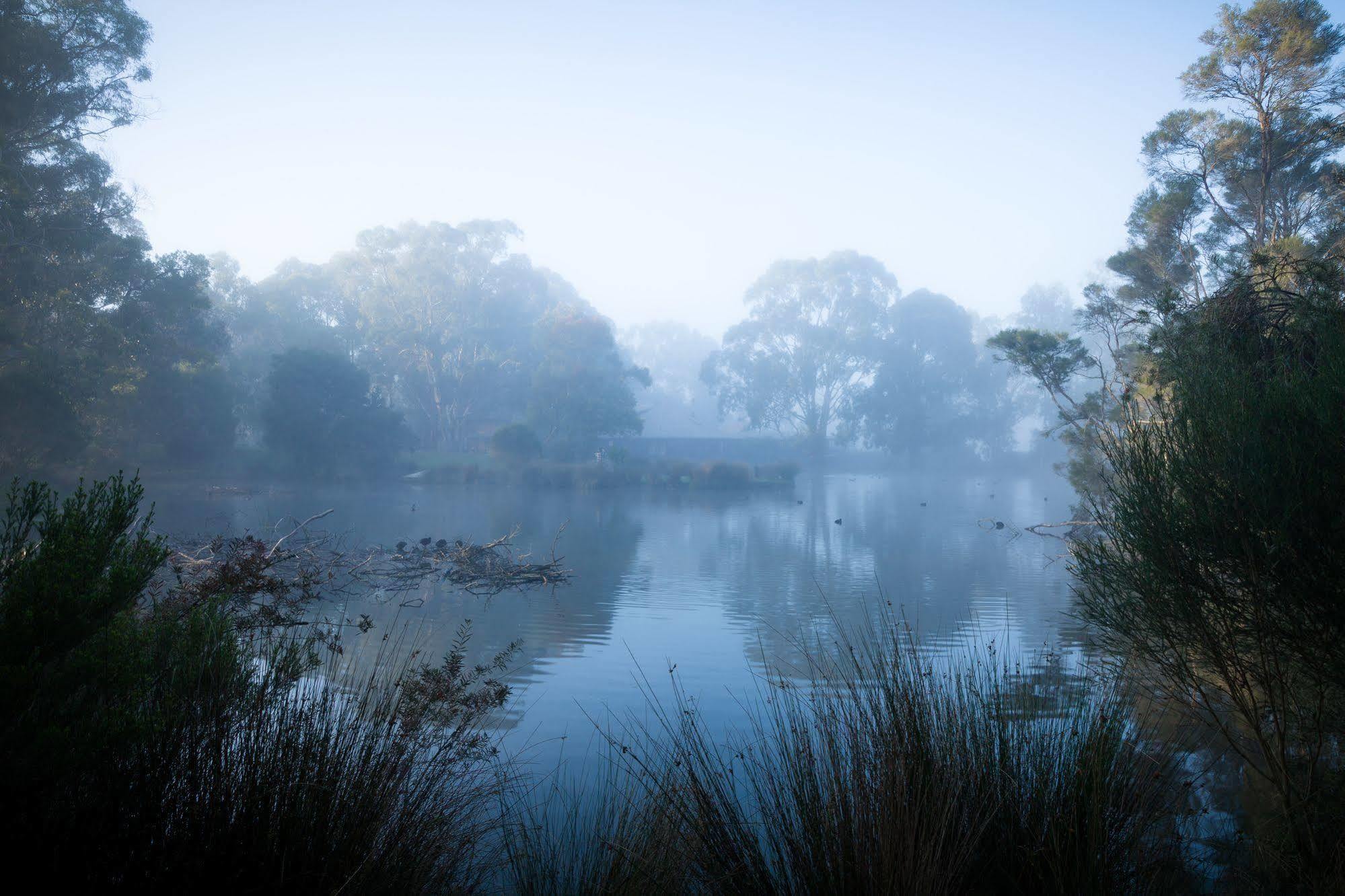 Villa The Burrow At Wombat Bend Dixons Creek Exterior foto