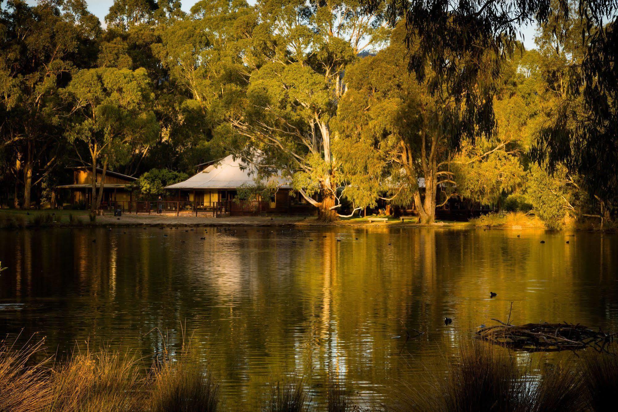Villa The Burrow At Wombat Bend Dixons Creek Exterior foto